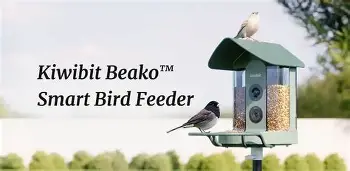 Kiwibit Beako Smart Bird Feeder Specs, Features, and Value: Is it worth the price tag?